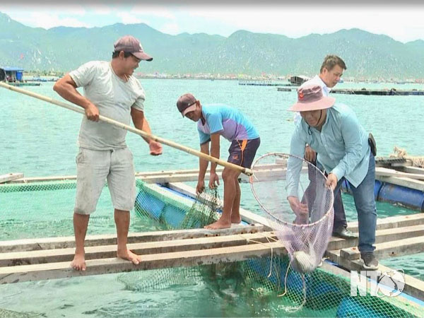 Phát triển bền vững ngành thủy sản Giảm đánh bắt tăng nuôi trồng  Nhịp  sống kinh tế Việt Nam  Thế giới